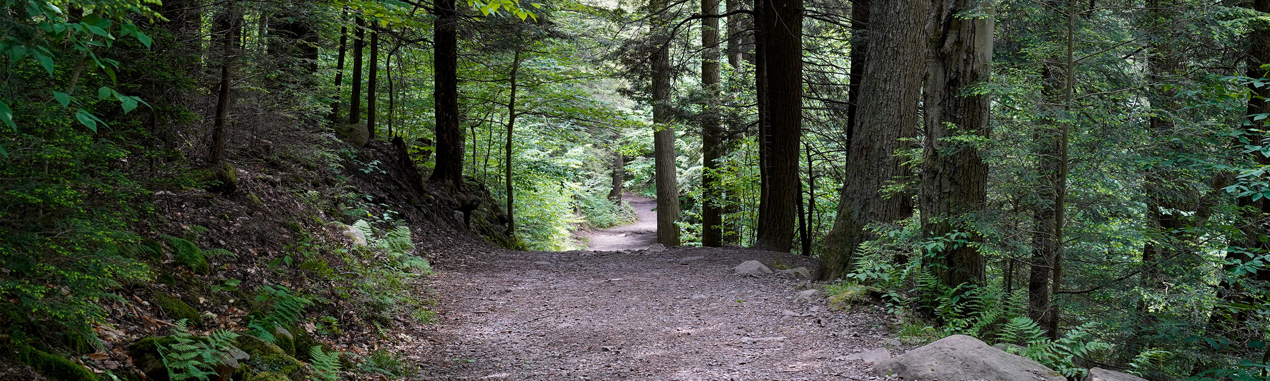 Parks of West Bedford Banner