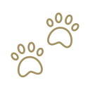 paw prints icon