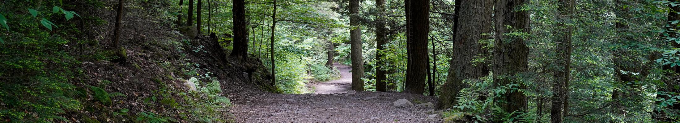 Parks of West Bedford Trail System