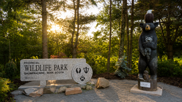 Shubenacadie park 