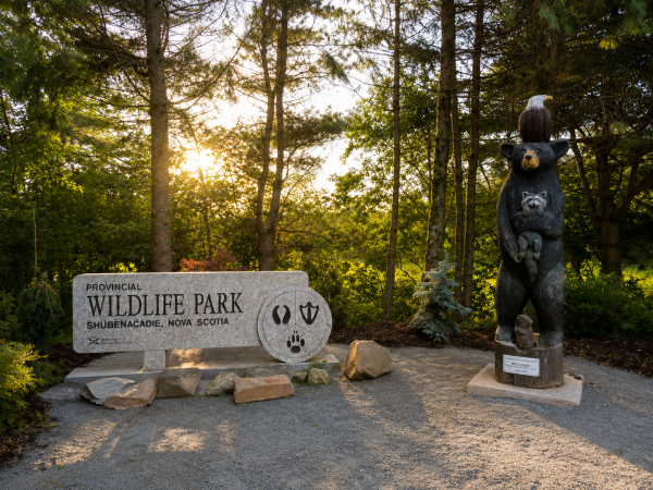 Shubenacadie Wildlife Park 102