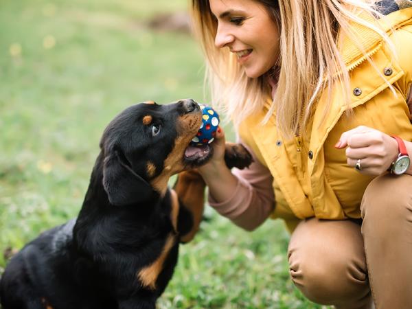 Lantz Apartments community features