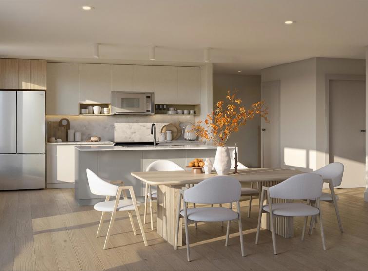 Modern Kitchen & Appliances