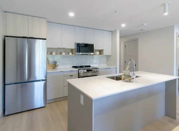 Modern Kitchen & Appliances